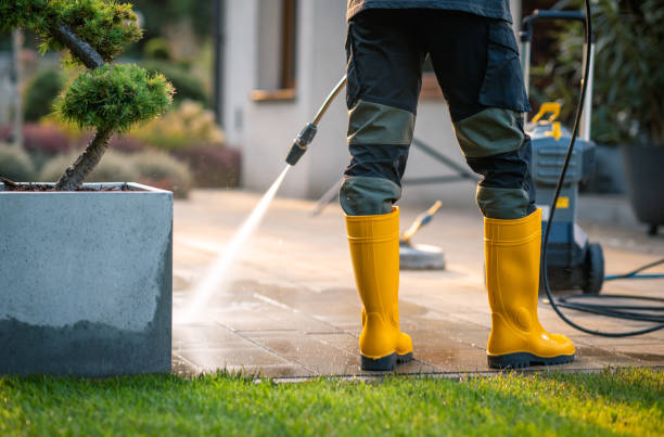 Best Roof Pressure Washing  in Godfrey, IL